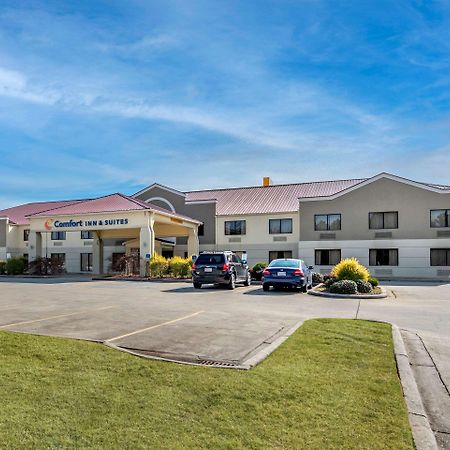 Comfort Inn & Suites Leeds I-20 Buitenkant foto