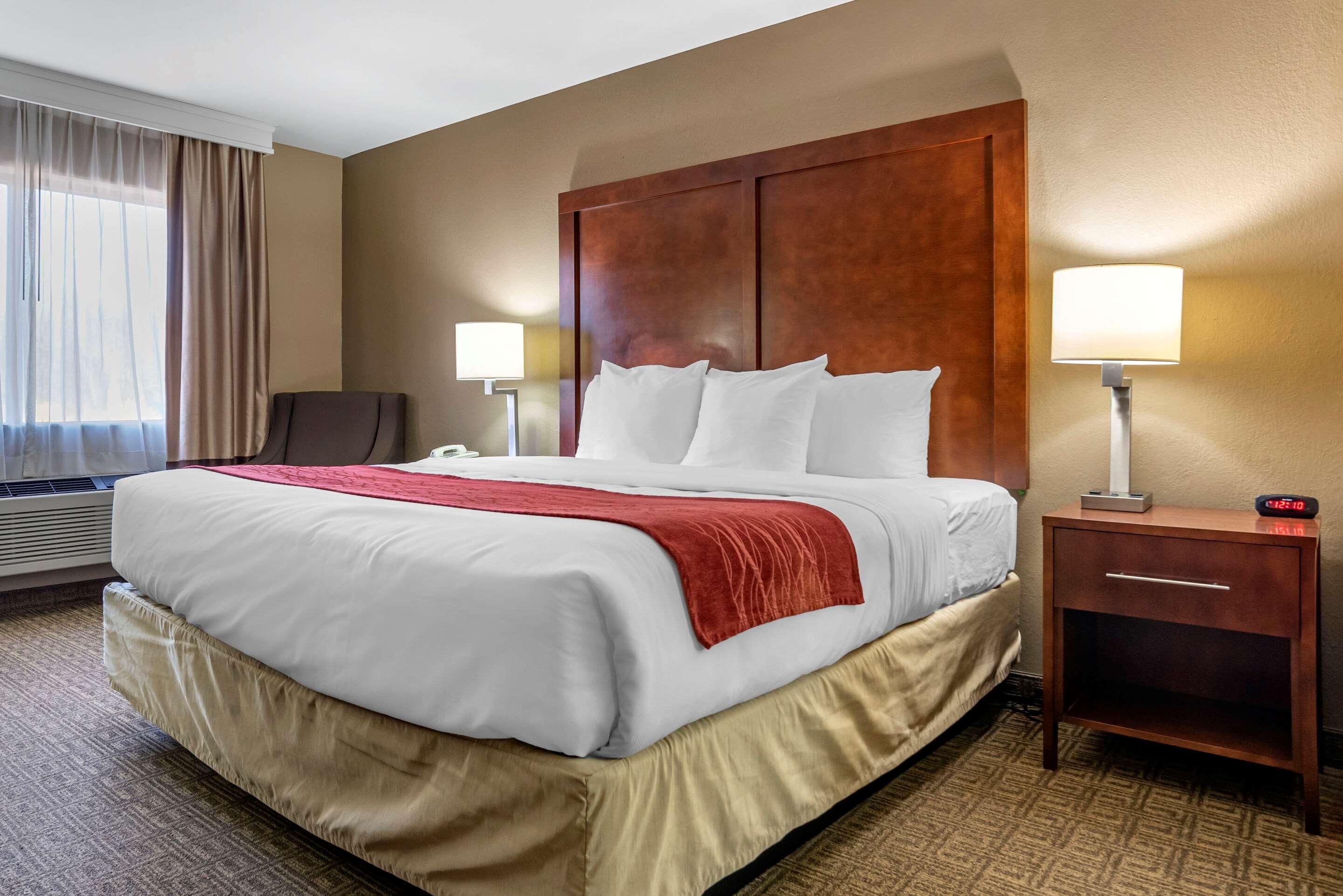 Comfort Inn & Suites Leeds I-20 Buitenkant foto